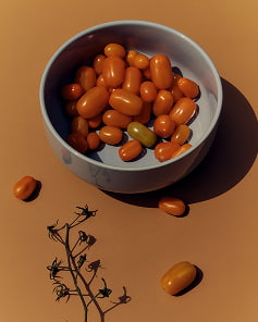 Home Editorial